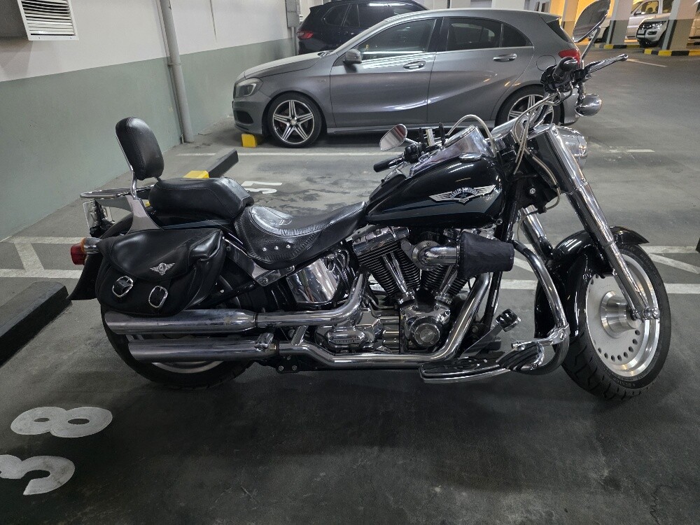 Harley-Davidson Fatboy Anniversary - 5