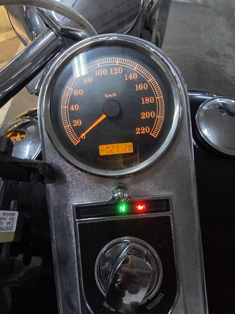 Harley-Davidson Fatboy Anniversary - 6