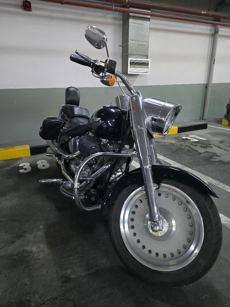Harley-Davidson Fatboy Anniversary - 3