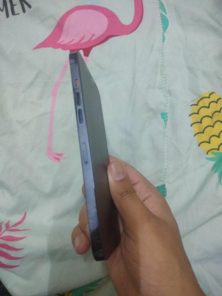 iphone 12 Pro Max - 6