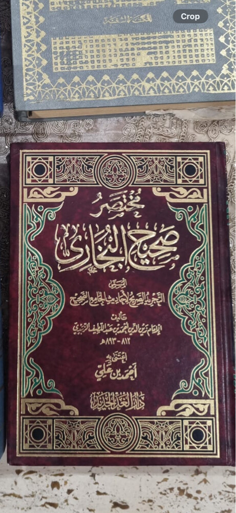 مختصر صحيح البخاري - 1