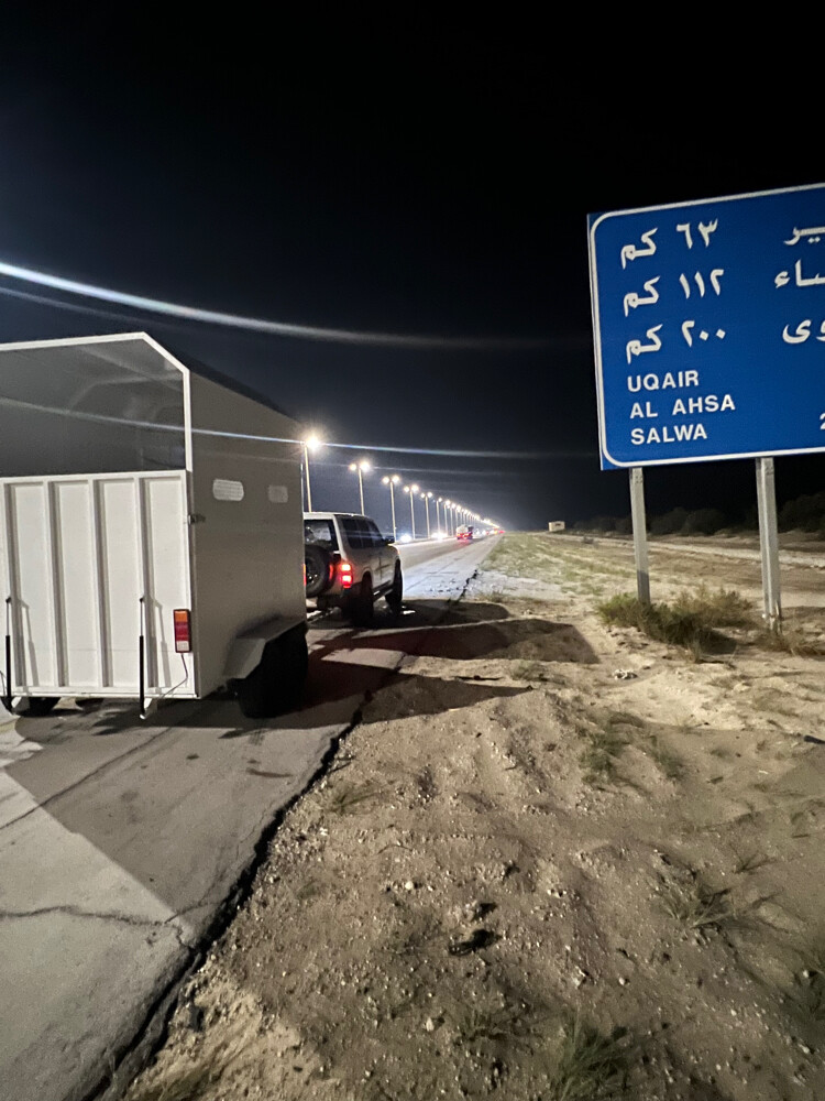 نقل خيول وقلص كبائن - 3