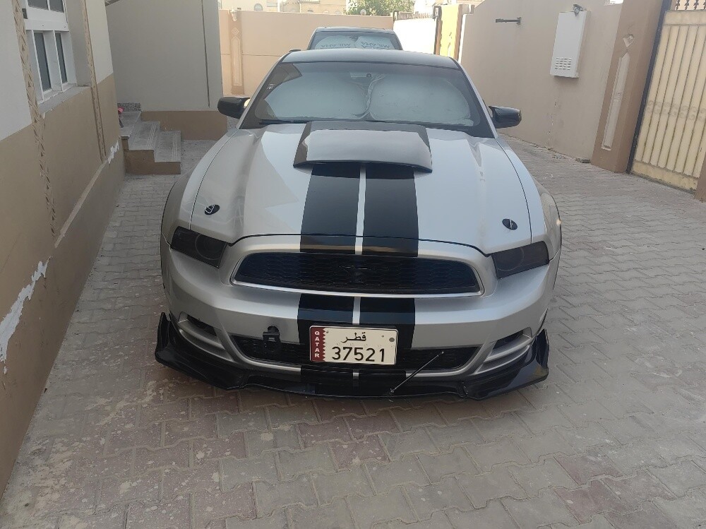 موستنج جي تي 2013 - 5
