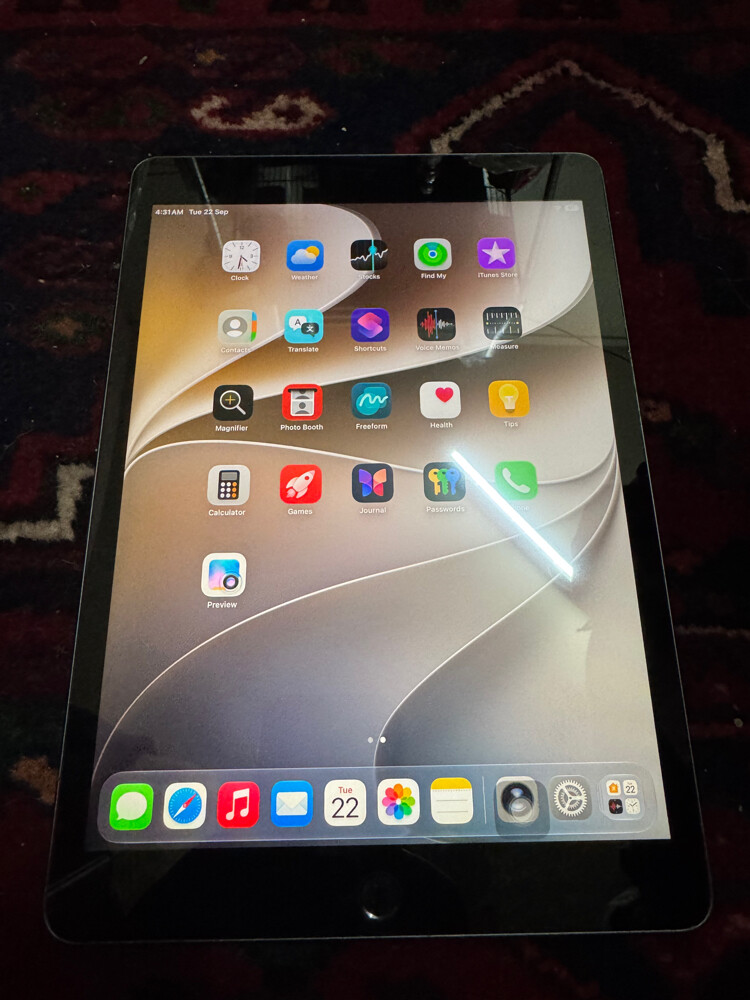 iPad 9 Generation 256GB - 3
