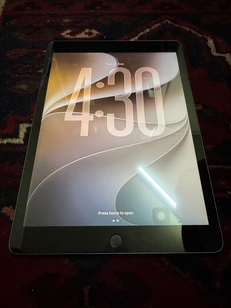 iPad 9 Generation 256GB - 1