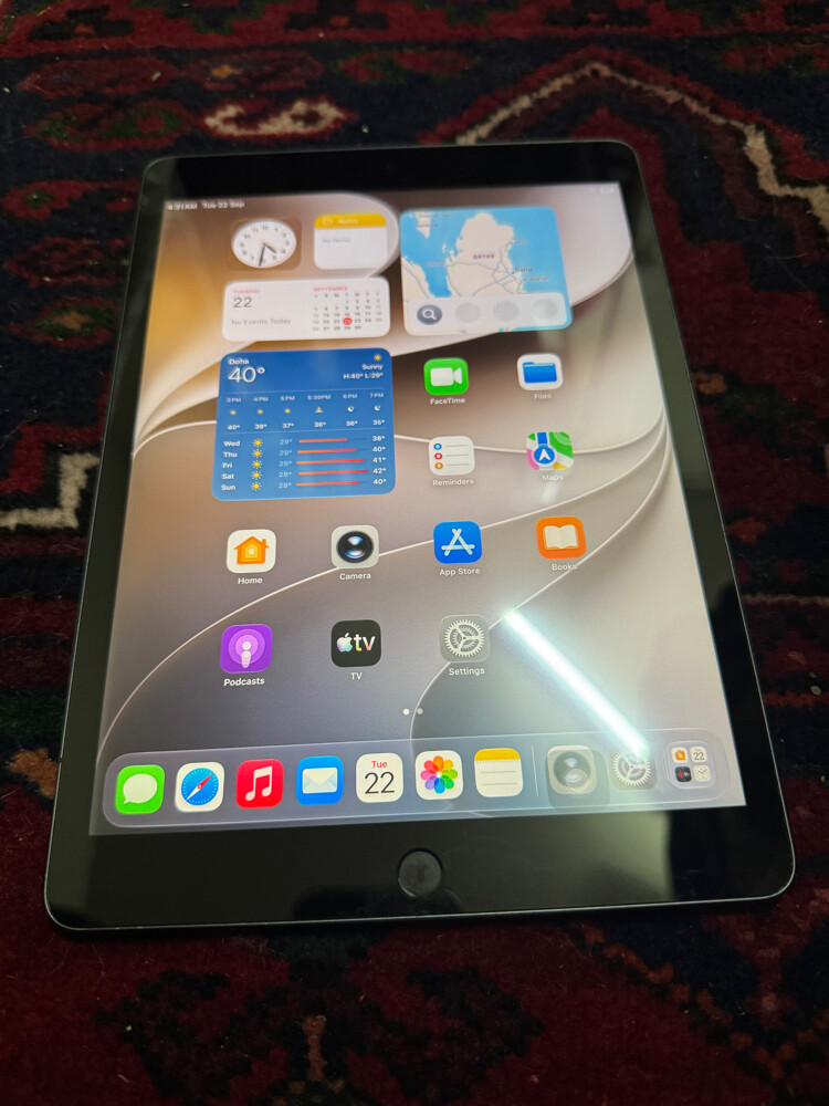 iPad 9 Generation 256GB - 6