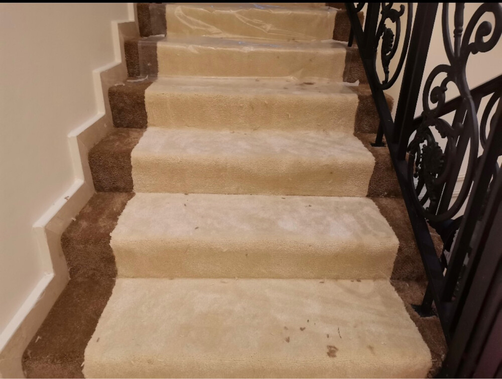 Carpet for selling  - 3