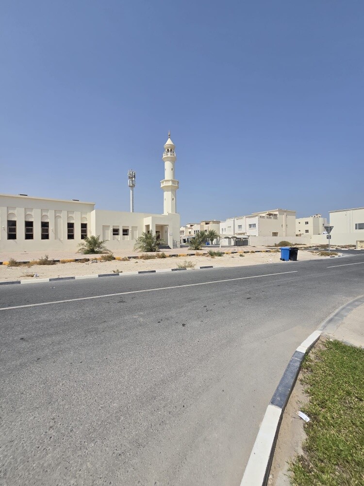 فلتين متلاصقات بالخيسه الجديده - 8
