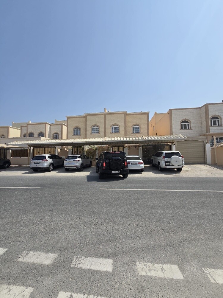 فلتين متلاصقات بالخيسه الجديده - 1