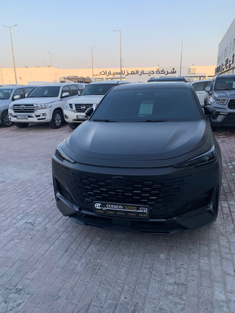 تشانجان يوني كيه - 4