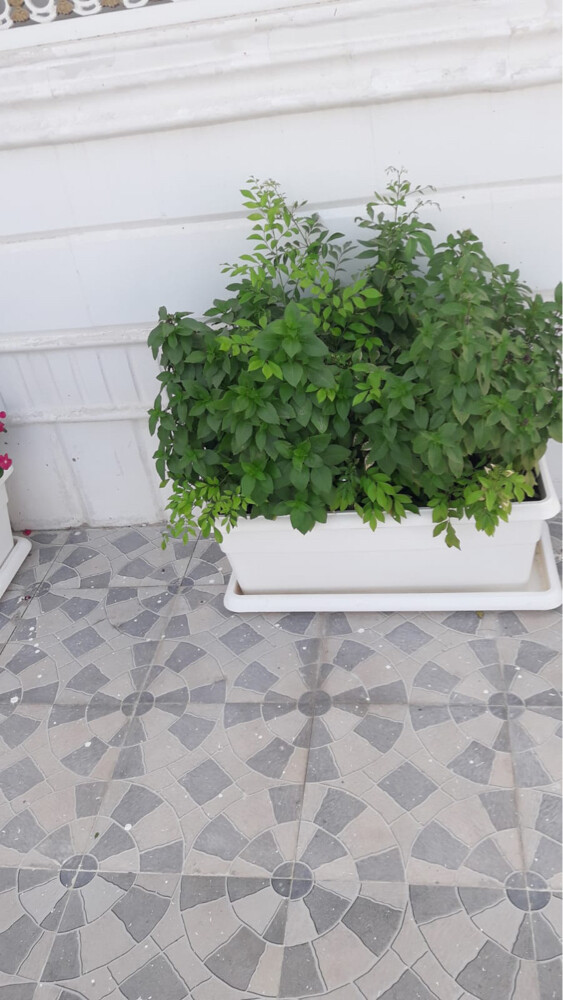 متابعه شهريه - 4