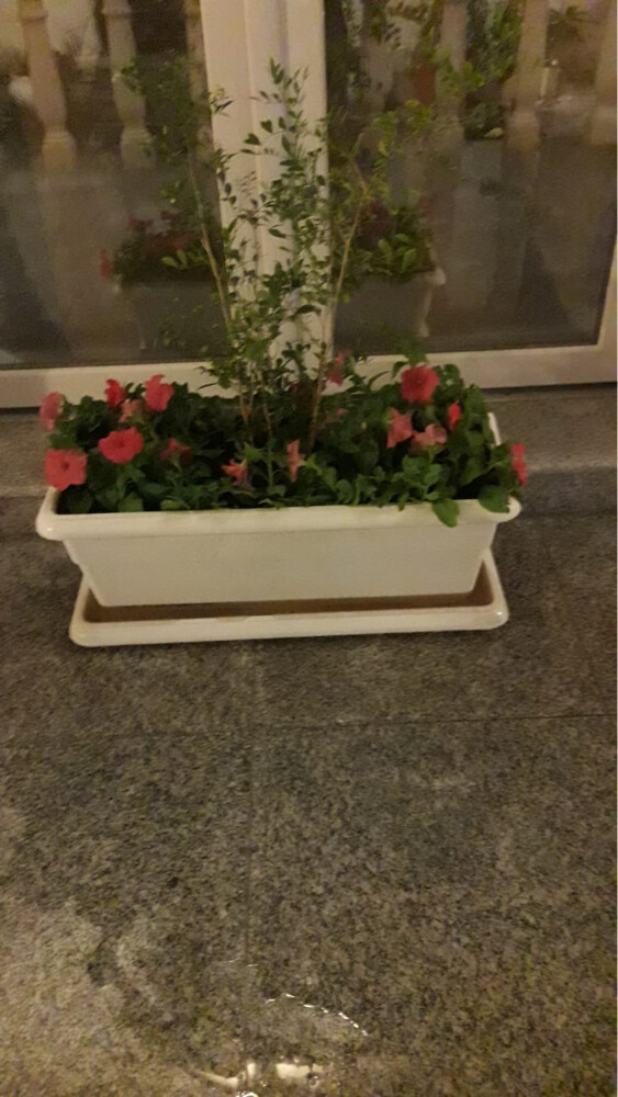 متابعه شهريه - 3