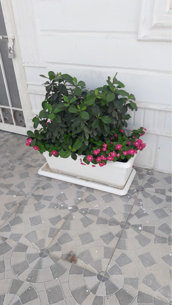 متابعه شهريه - 6