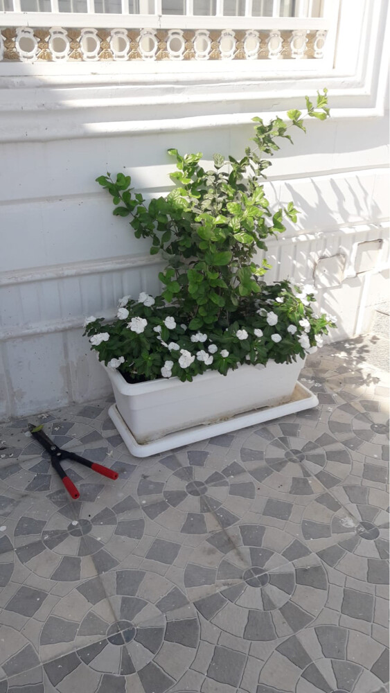 متابعه شهريه - 5