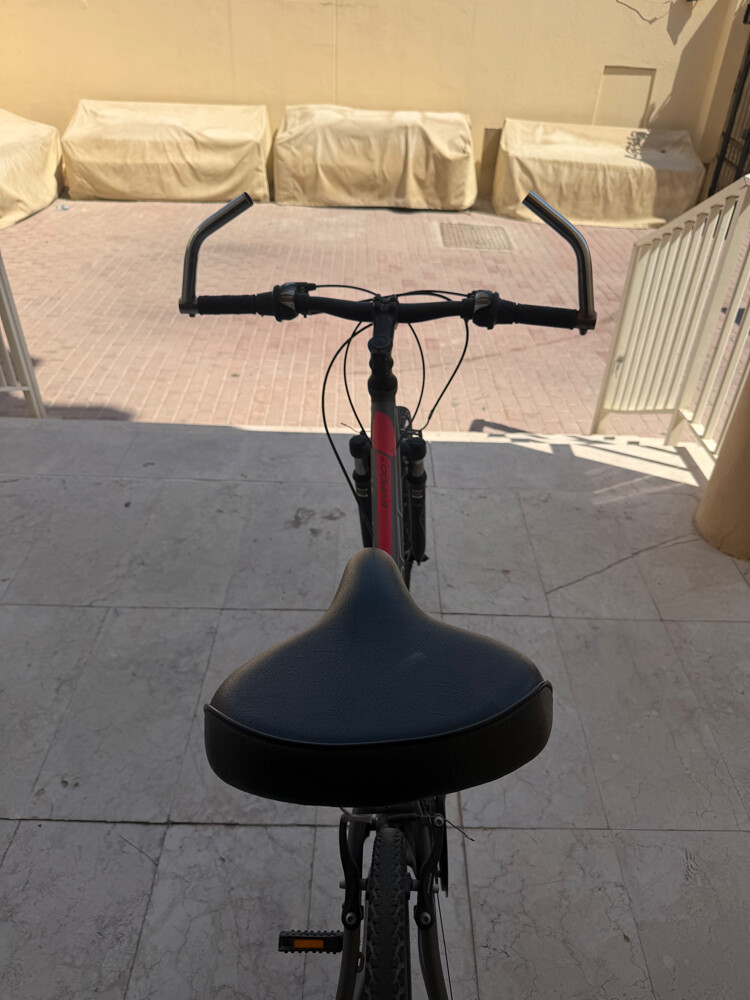 bike  - 2