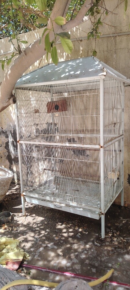 sale - 4
