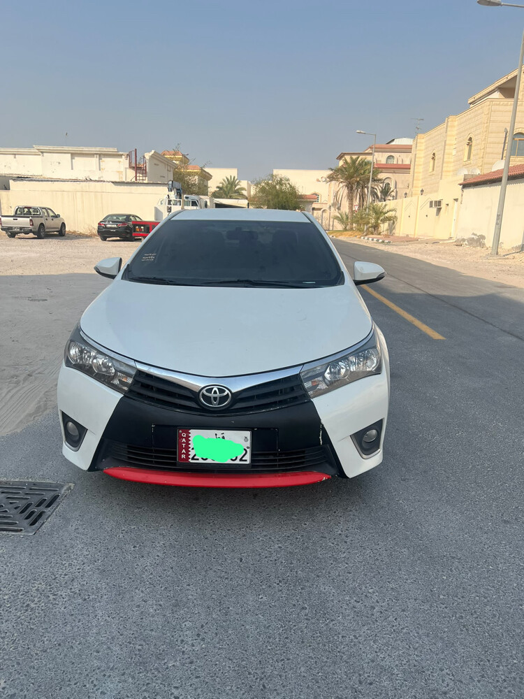 كوريلا  - 4