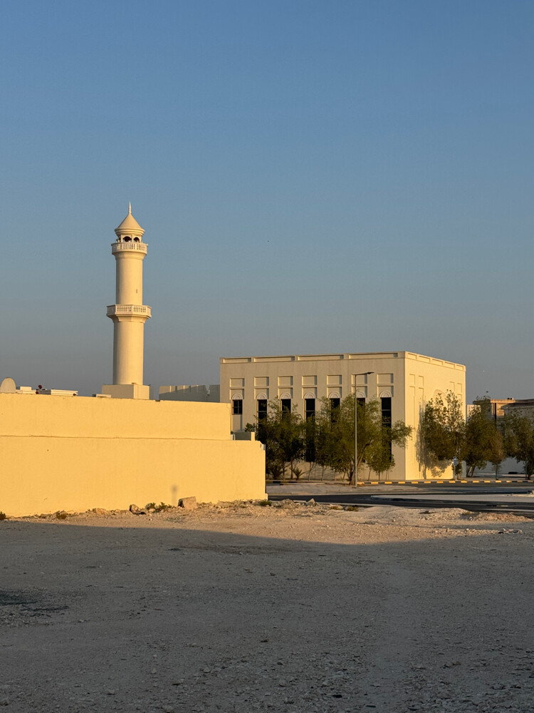 للبيع فيلا كبيره في روضة الحمامة - 2