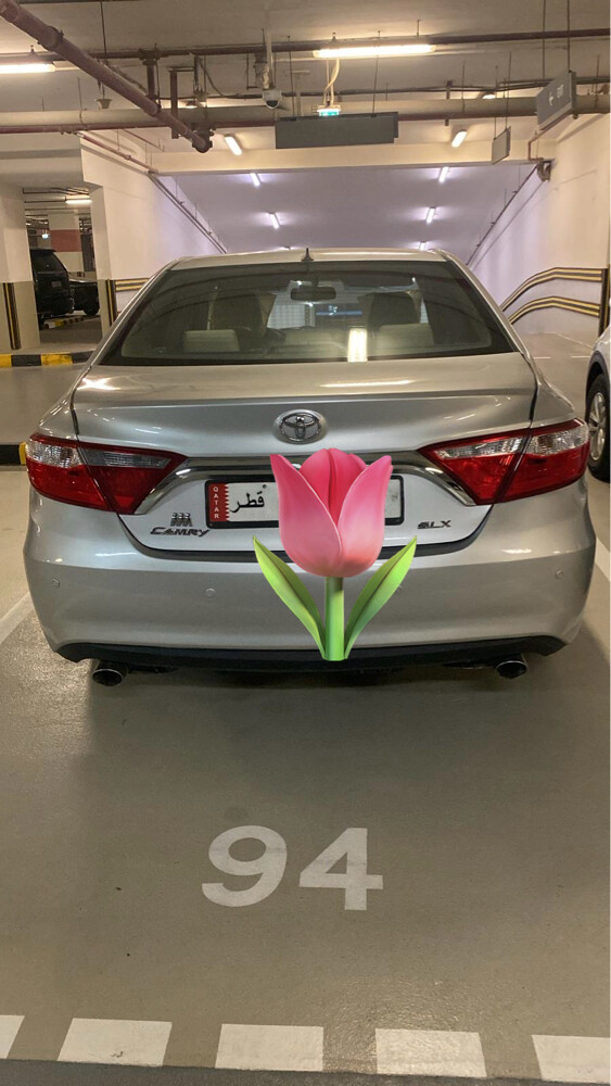 للبيع - 2