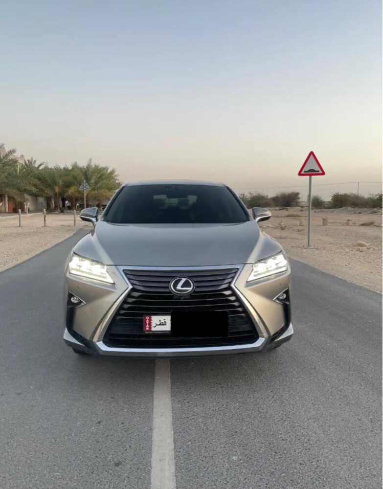 2018 Lexus RX - 3