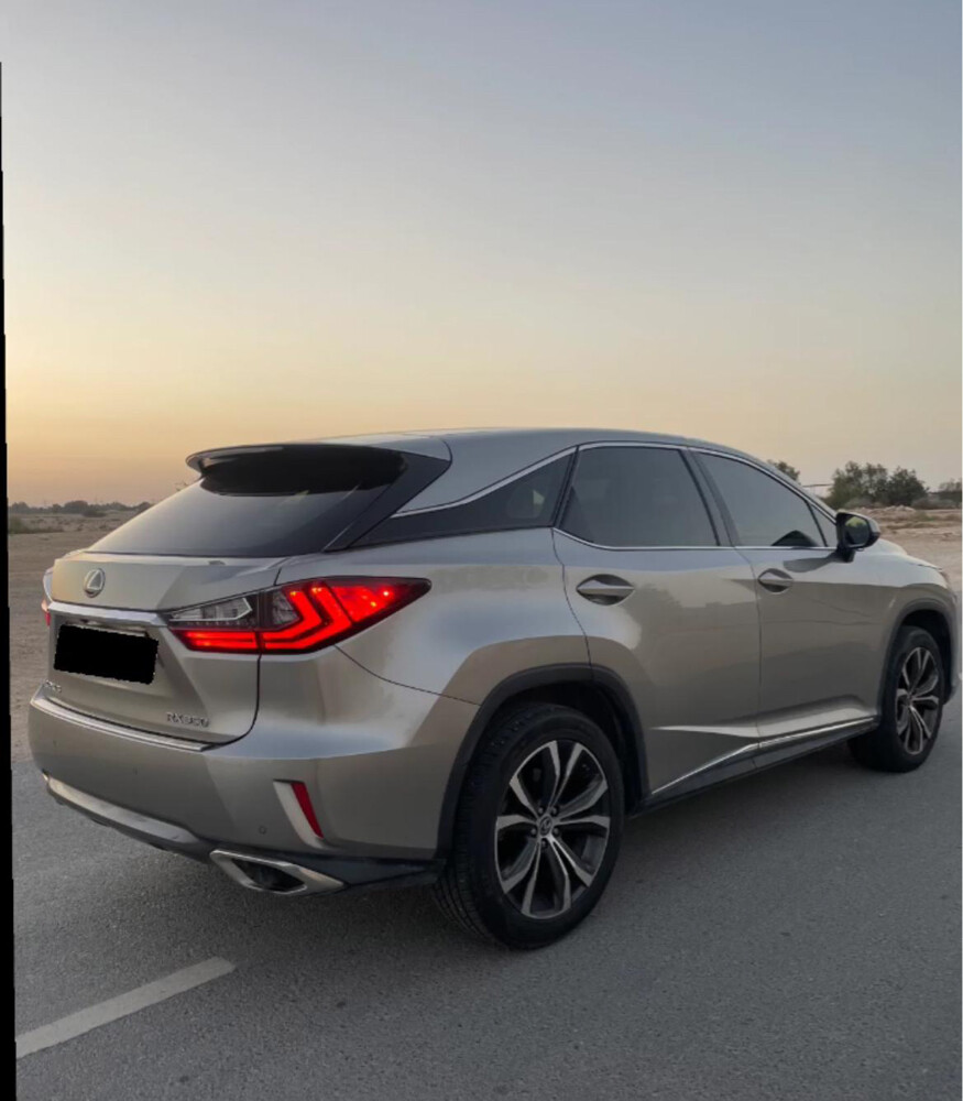 2018 Lexus RX - 2