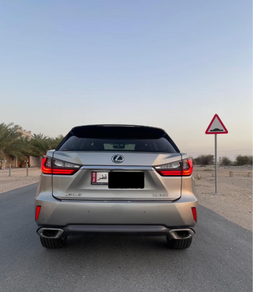 2018 Lexus RX - 6
