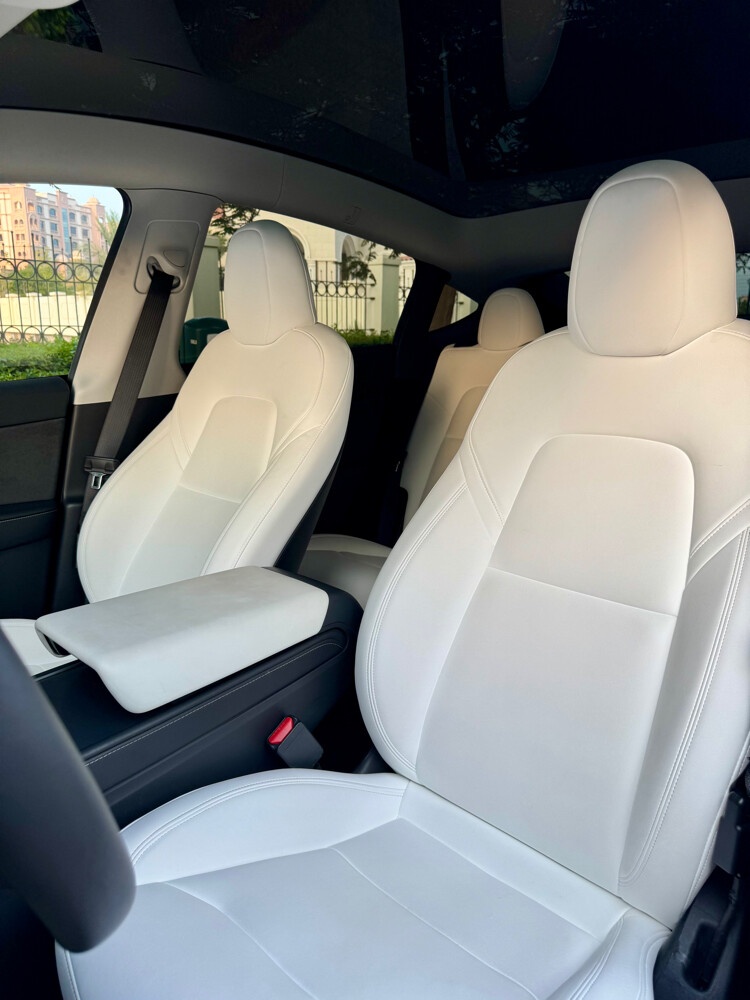 Tesla 2024 Model Y Performance  - 12