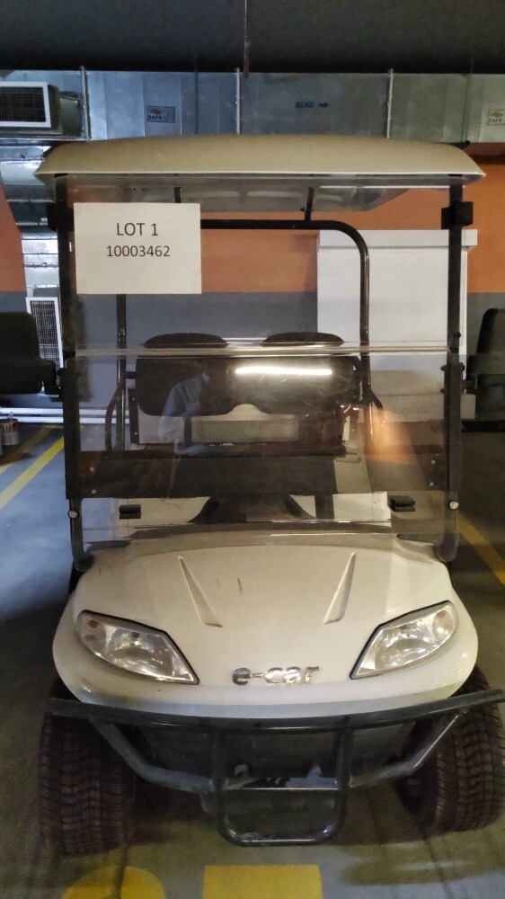 3 Golf Cart for Sale - 2