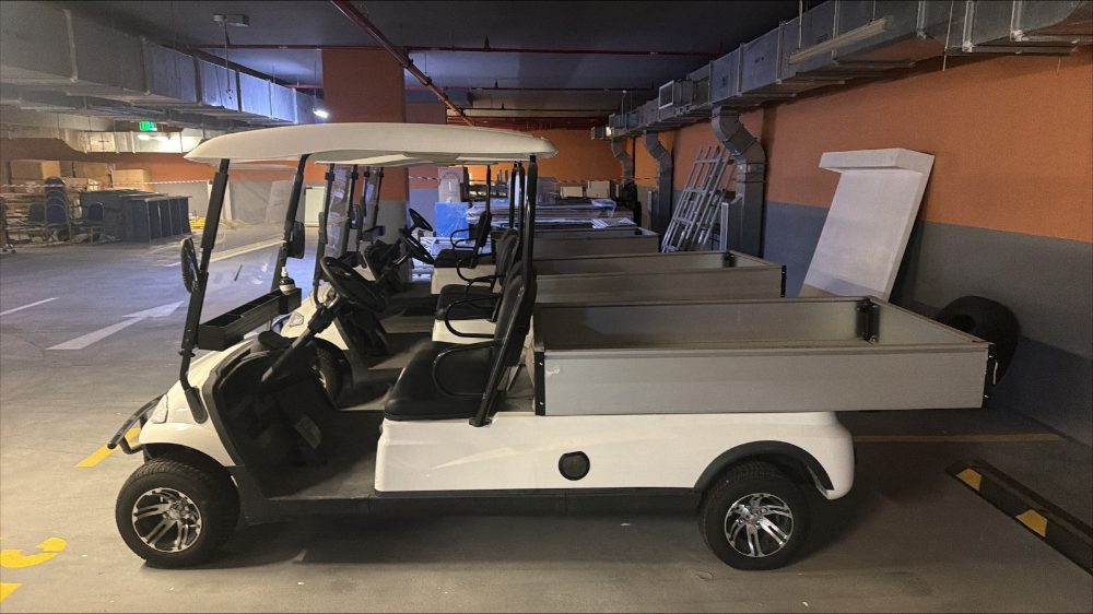 3 Golf Cart for Sale - 5
