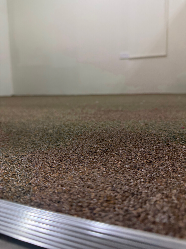 Fixing new carpet - 5