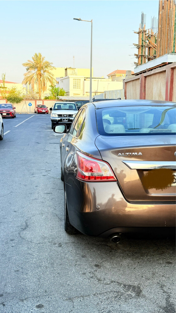 التيما - 7