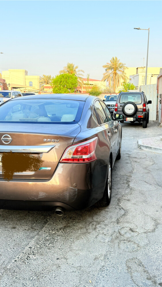 التيما - 6