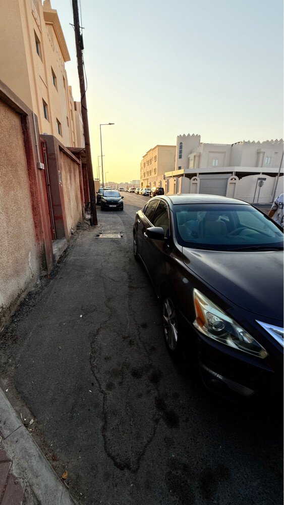 التيما - 4