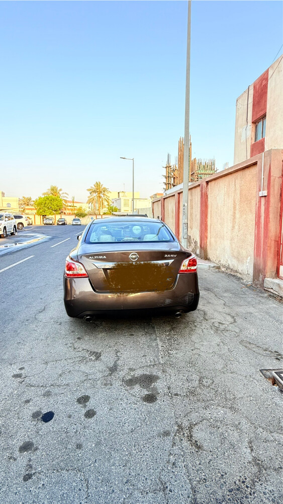 التيما - 3