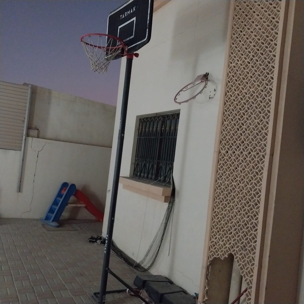 Professional Basketball Hoop - 3