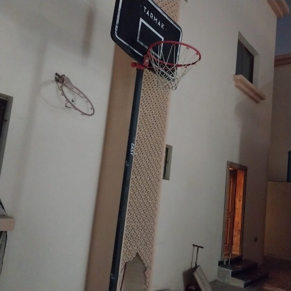 Professional Basketball Hoop - 1