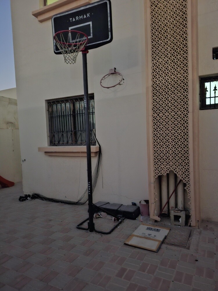 Professional Basketball Hoop - 4