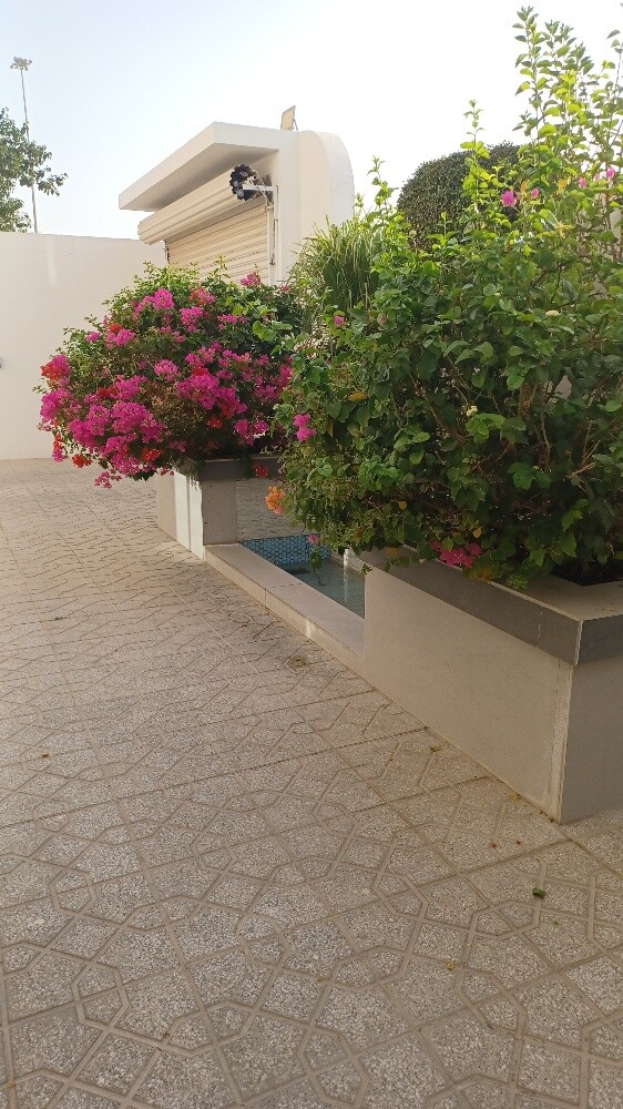 الزراعه الحدائق - 3
