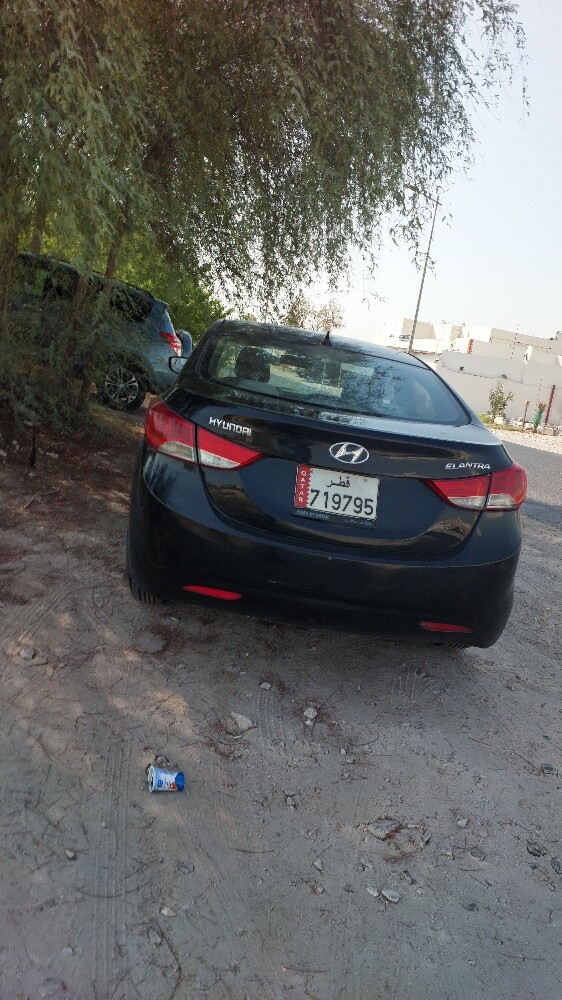Car for seal - 3