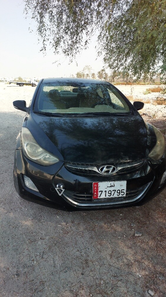 Car for seal - 1