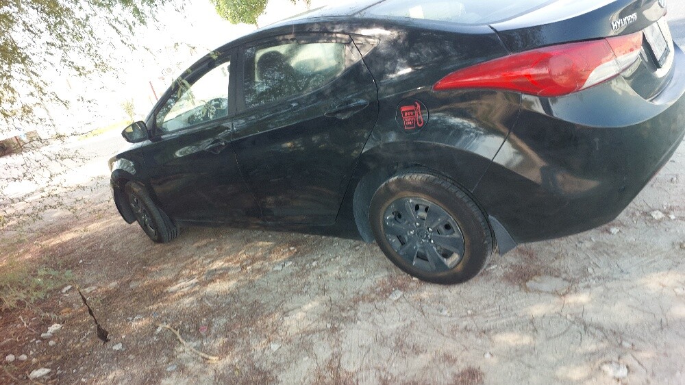 Car for seal - 4