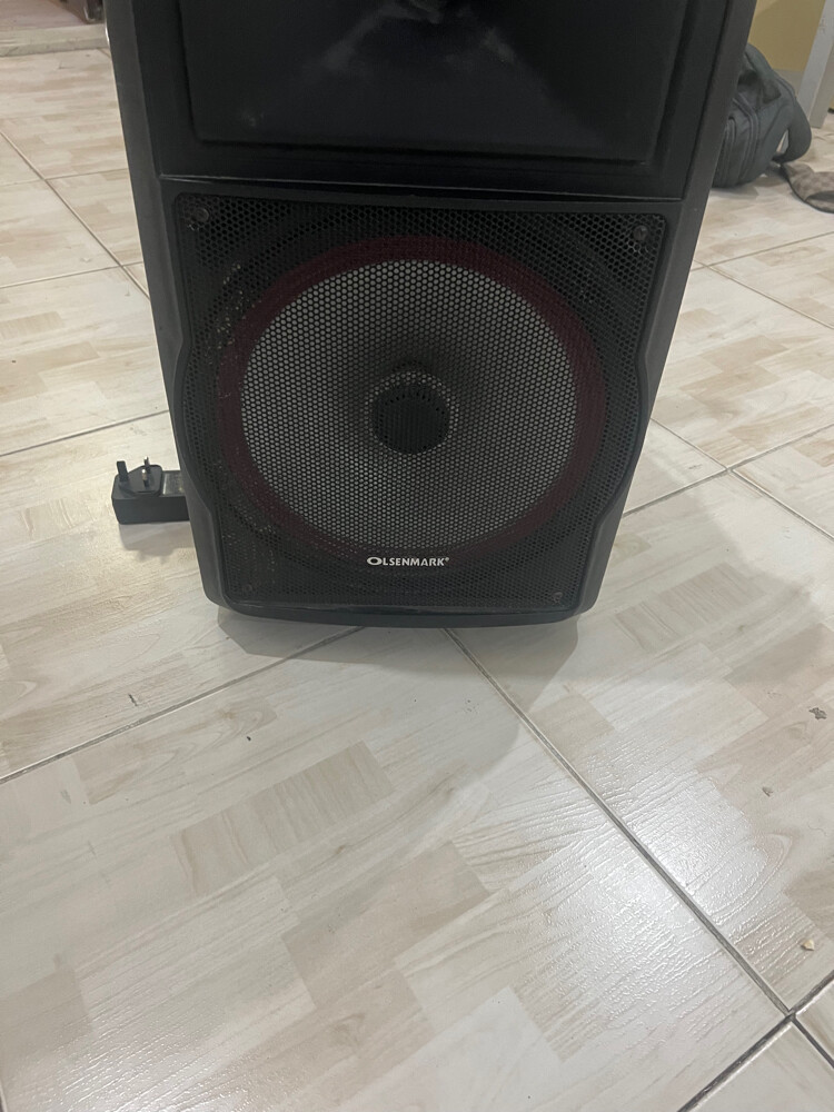 Olsenmark Party Speaker with Disco  - 4