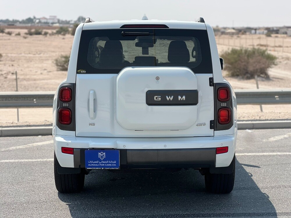 هافال اتش 9 2026 - 5