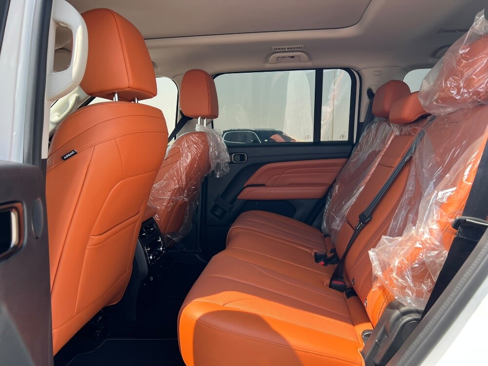 هافال اتش 9 2026 - 10