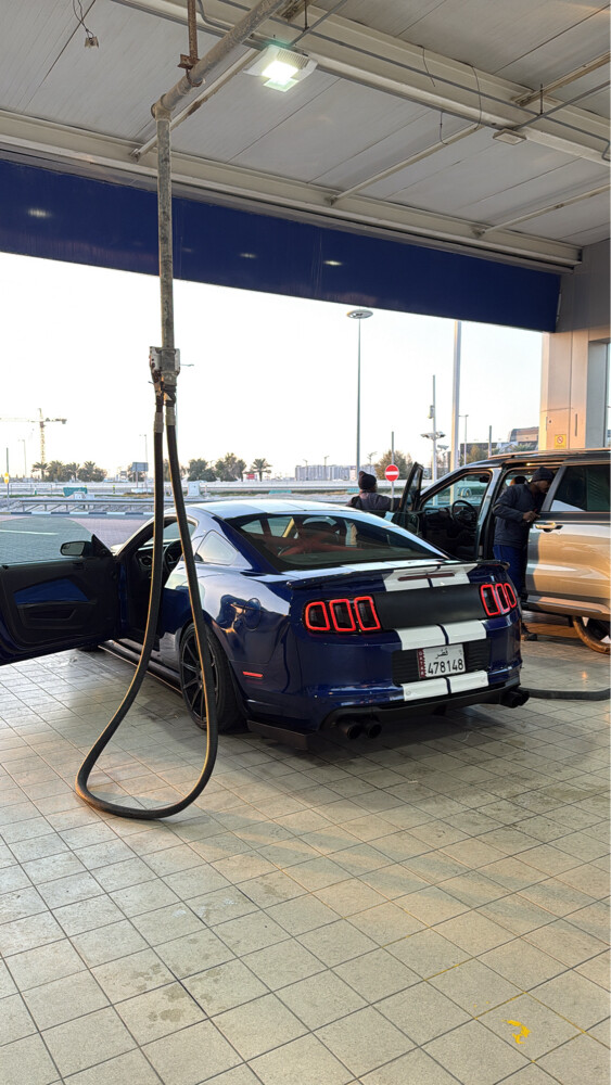 For Sale mustang - 2