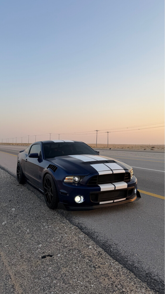 For Sale mustang - 5