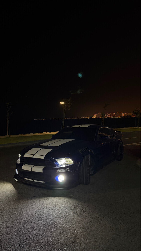 For Sale mustang - 3