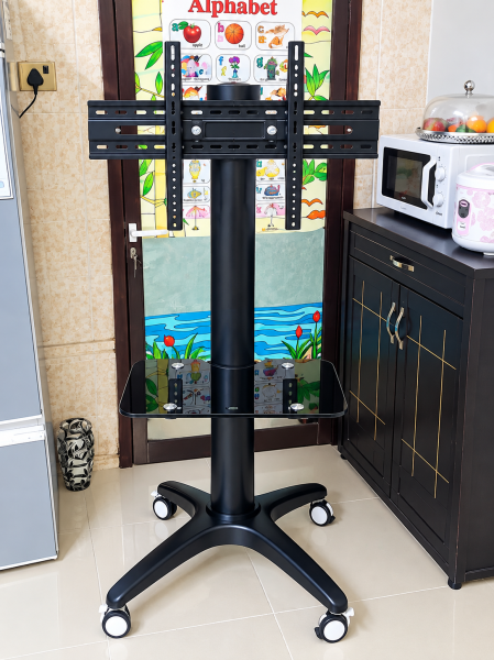 Zenan Mobile TV stand - 5
