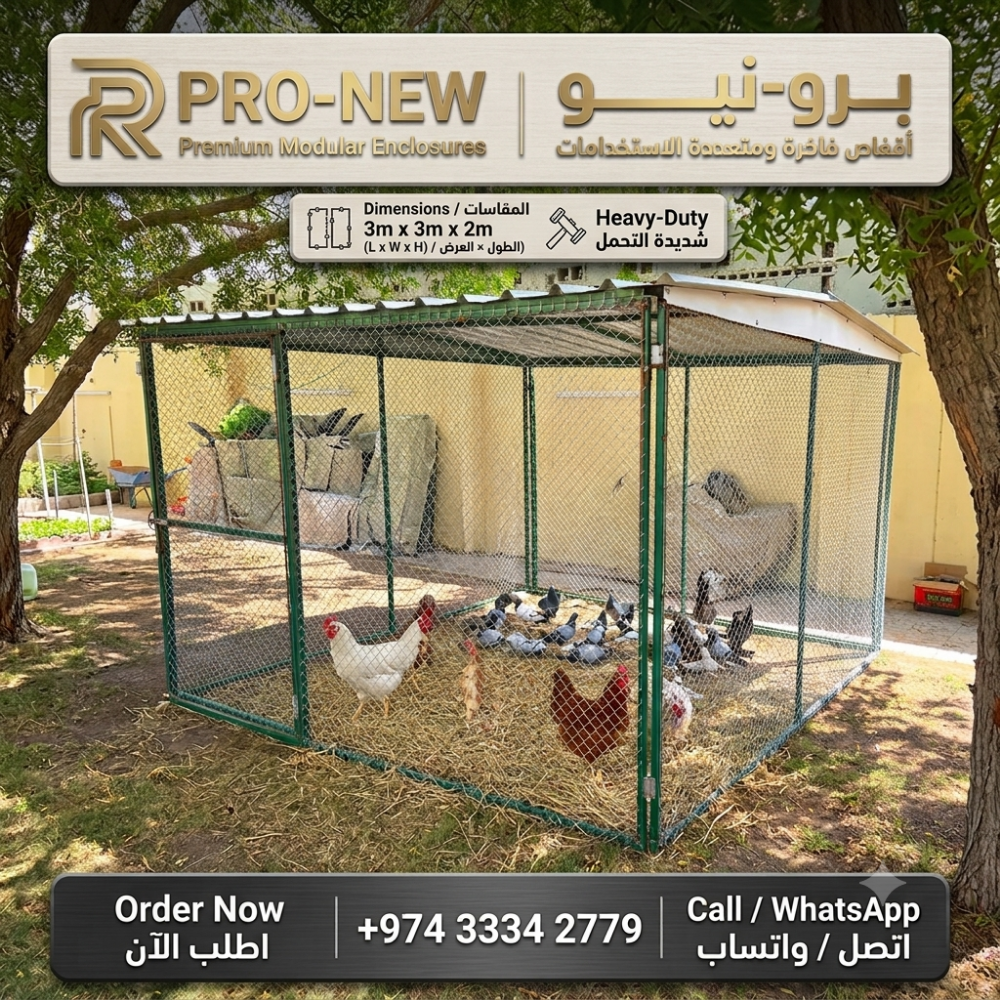 Pigeon and chicken house 3/3 - 1