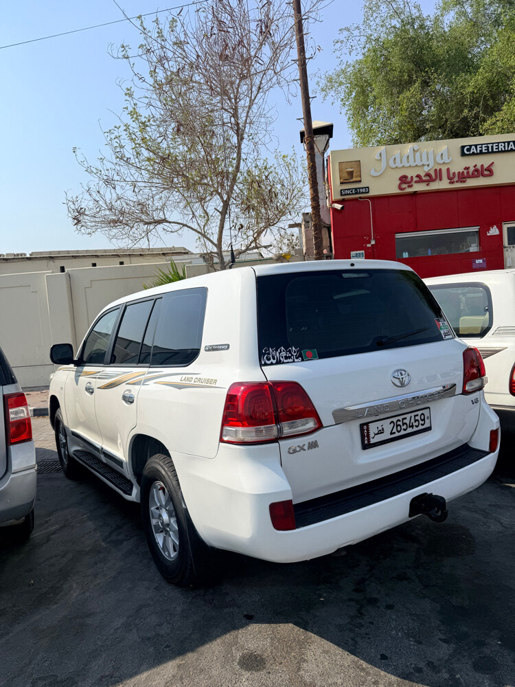 Mohin - 6